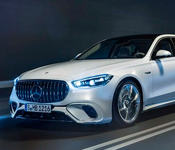 mercedaum